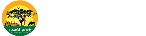 Eworld Safaris