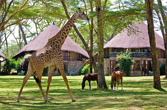 5-Day Amboseli, Tsavo West & Tsavo East Big Five Safari
