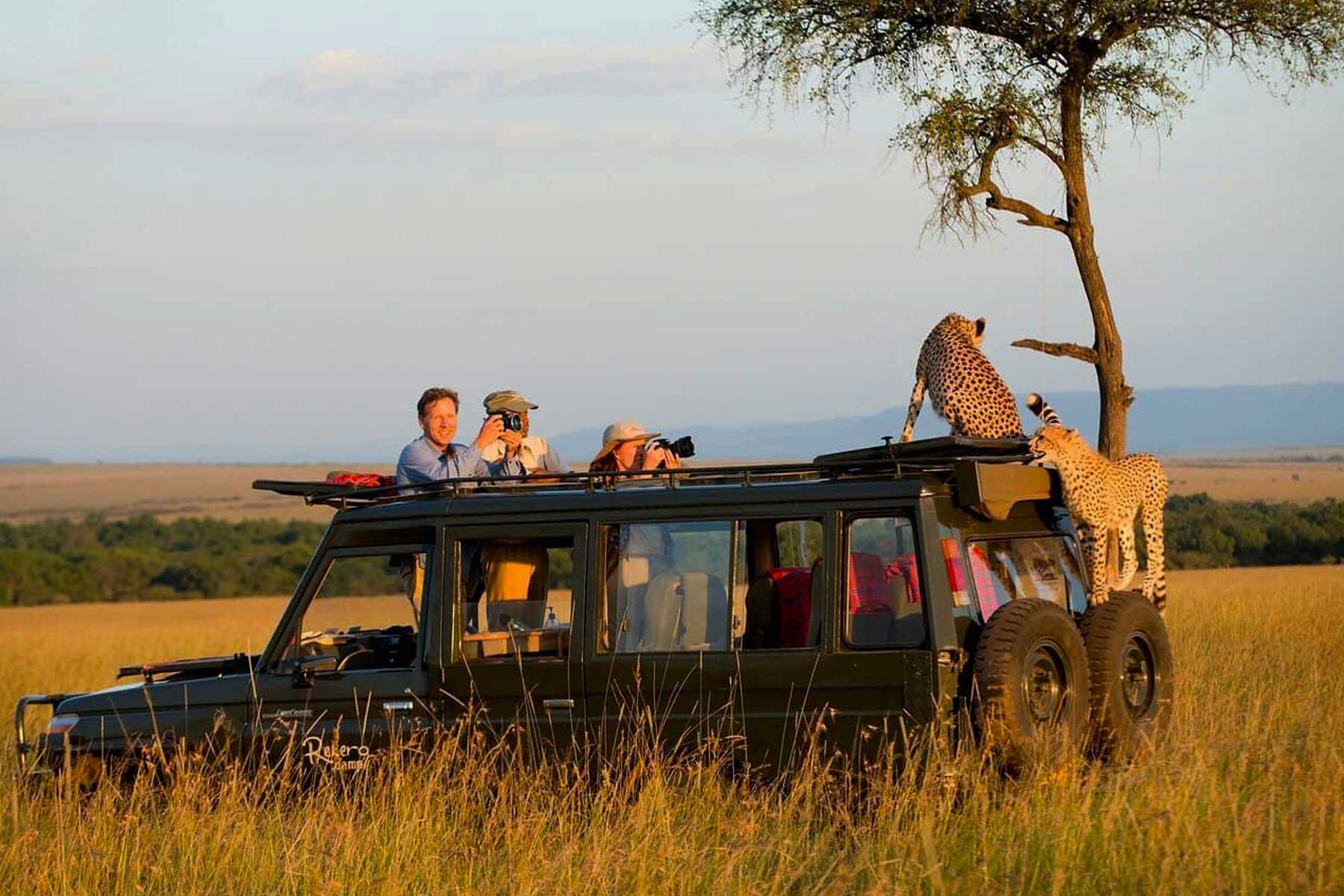 Classic Big-Game Drives