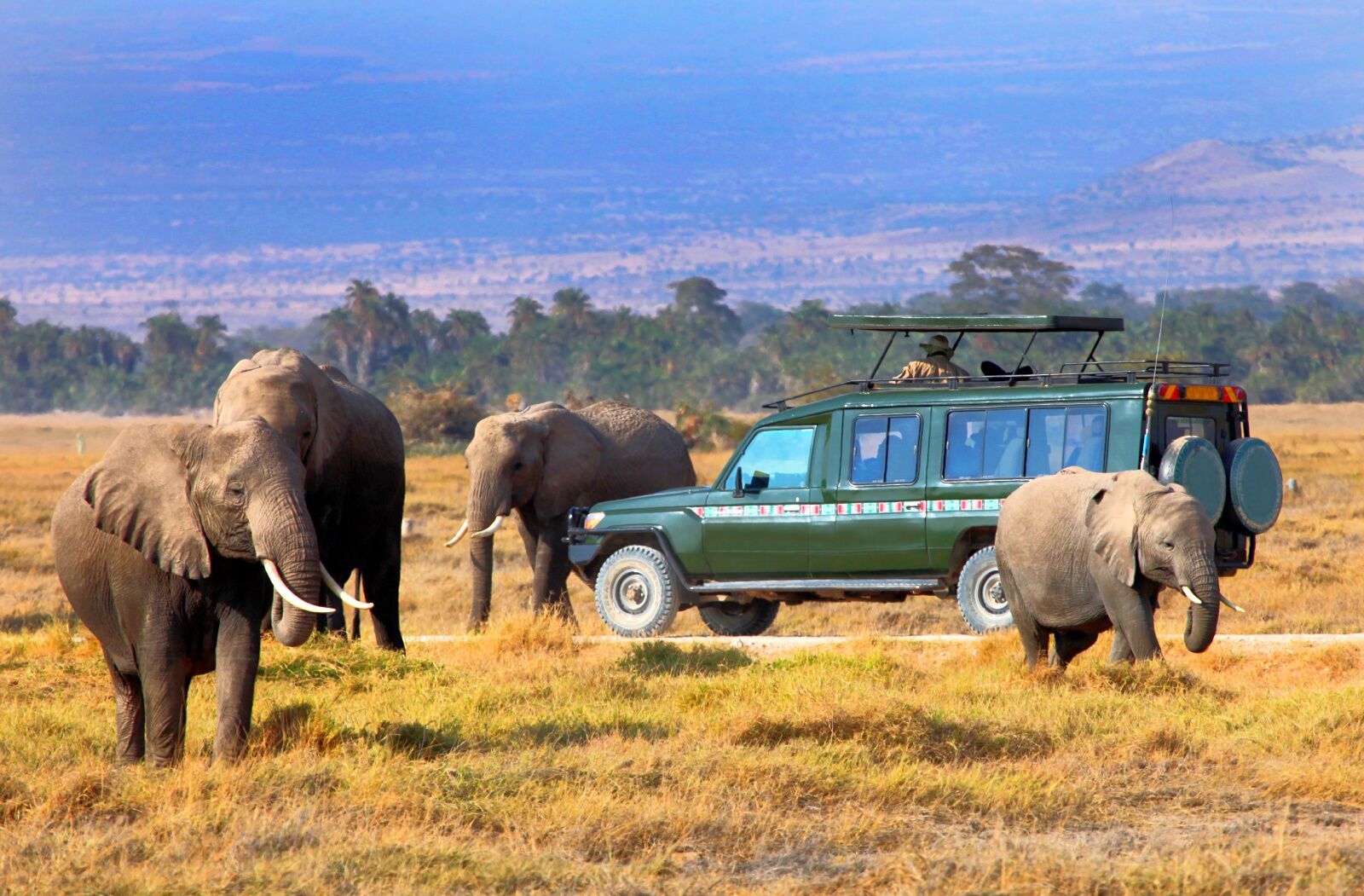 3-Day Amboseli Elephant & Kilimanjaro Safari